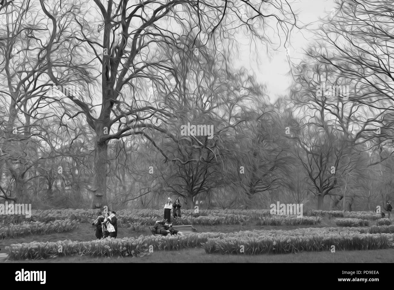 Le noir et blanc park à Londres. Banque D'Images