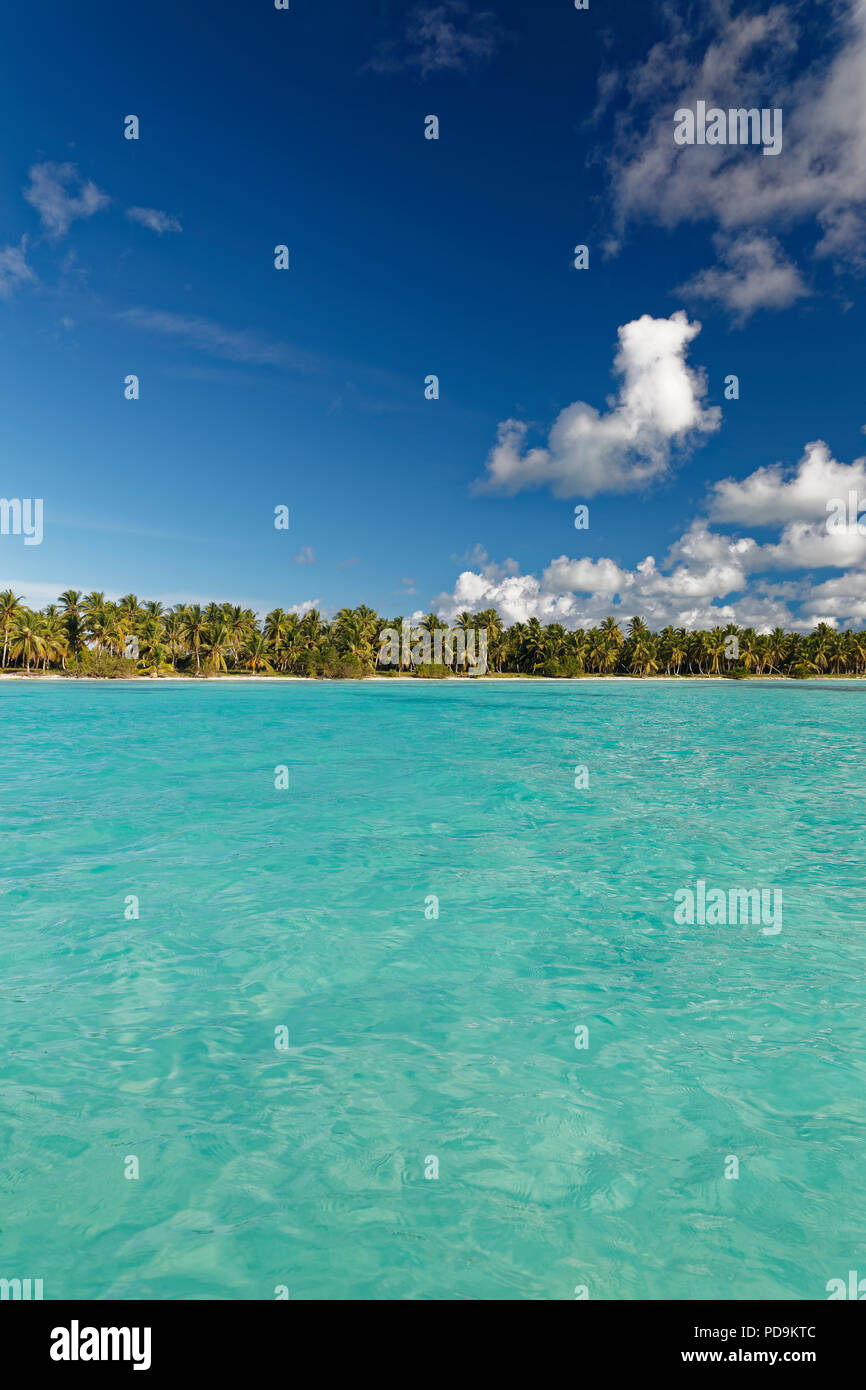 Plage de rêve, plage de sable avec des palmiers et la mer turquoise ...
