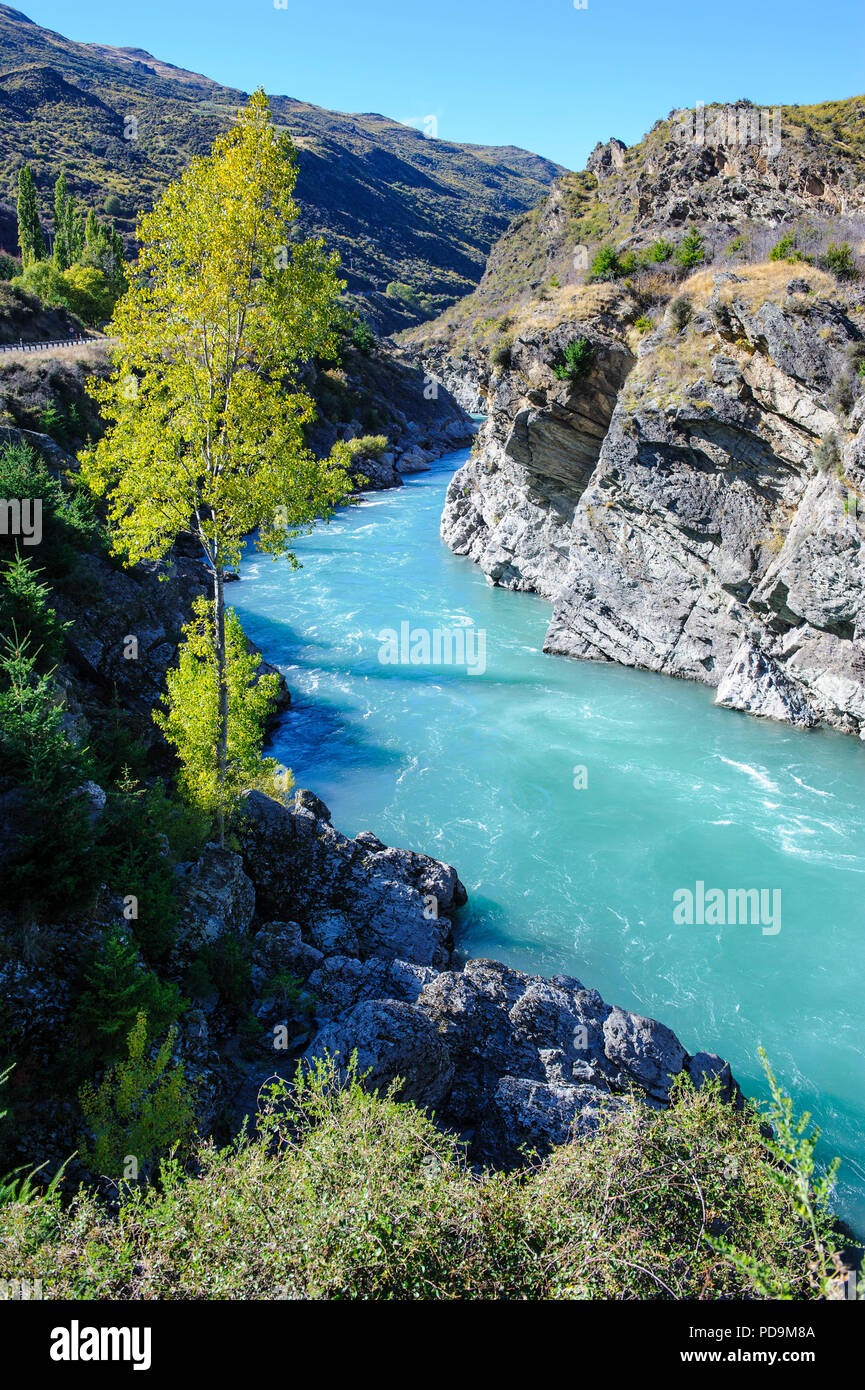 L'eau turquoise de la rivière Kawarau dans le Kawarau Gorge, île du Sud, Nouvelle-Zélande Banque D'Images
