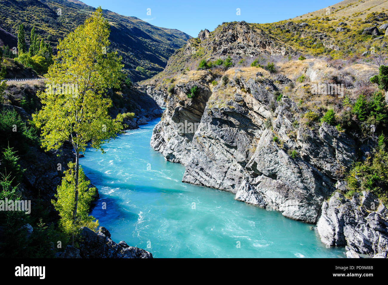 L'eau turquoise de la rivière Kawarau dans le Kawarau Gorge, île du Sud, Nouvelle-Zélande Banque D'Images
