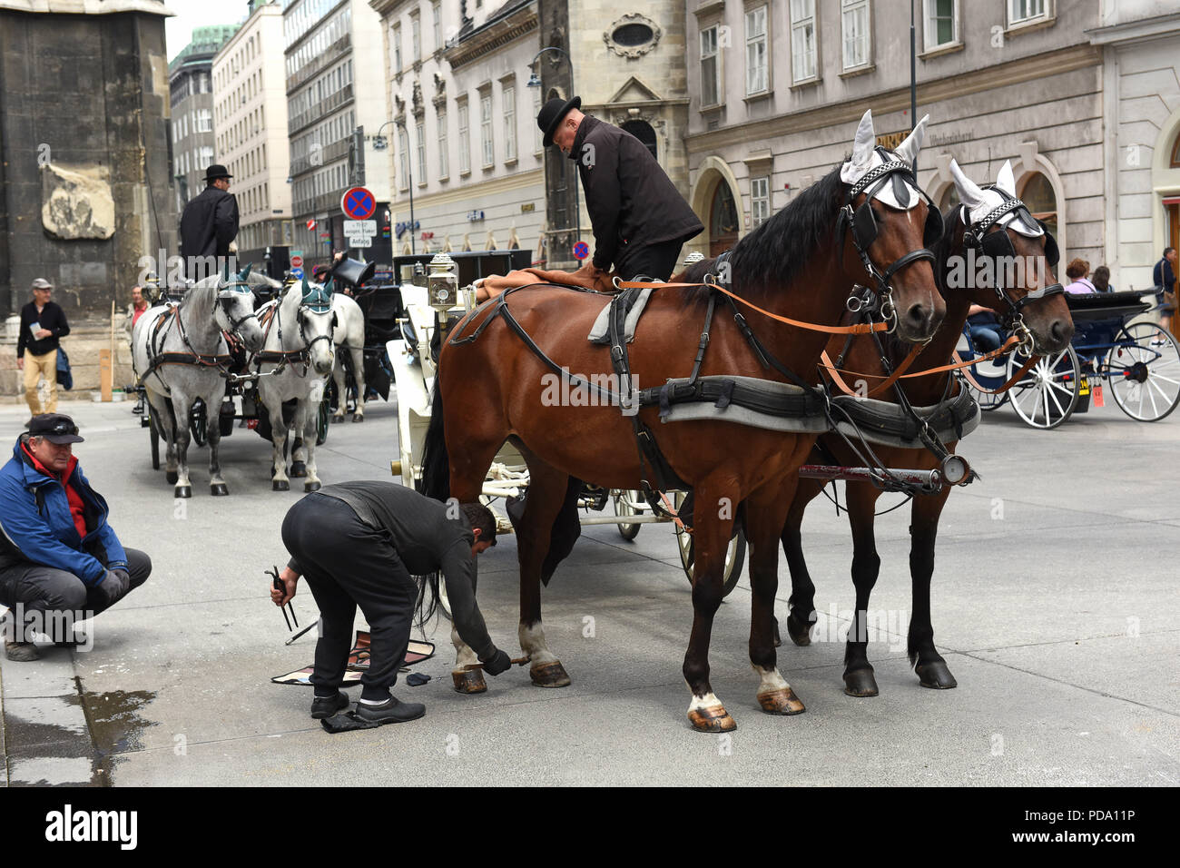 Maréchal-ferrant forgeron reparing chevaux horse shoe et entraîneurs coach rides à Vienne, Autriche Banque D'Images