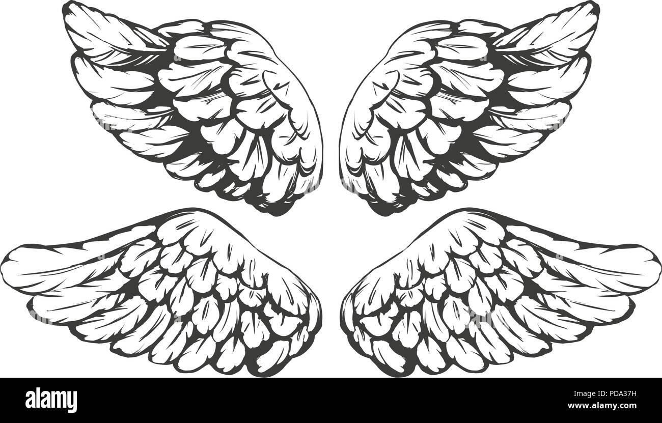 Croquis dessin animé ailes collection vector illustration Illustration de Vecteur