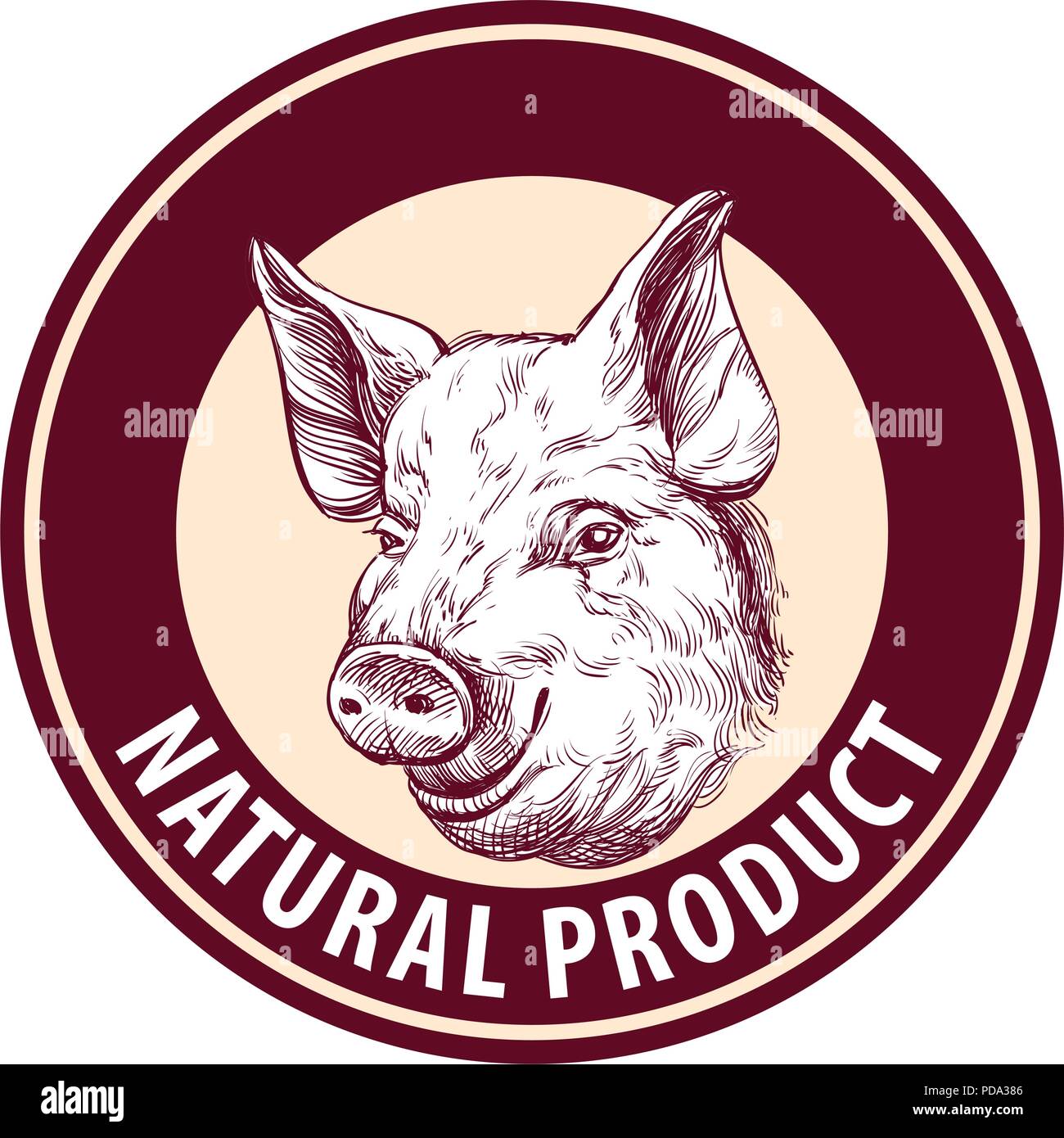 Illustration vecteur de porc à la main. croquis modèle de conception de logo de la ferme. Illustration de Vecteur