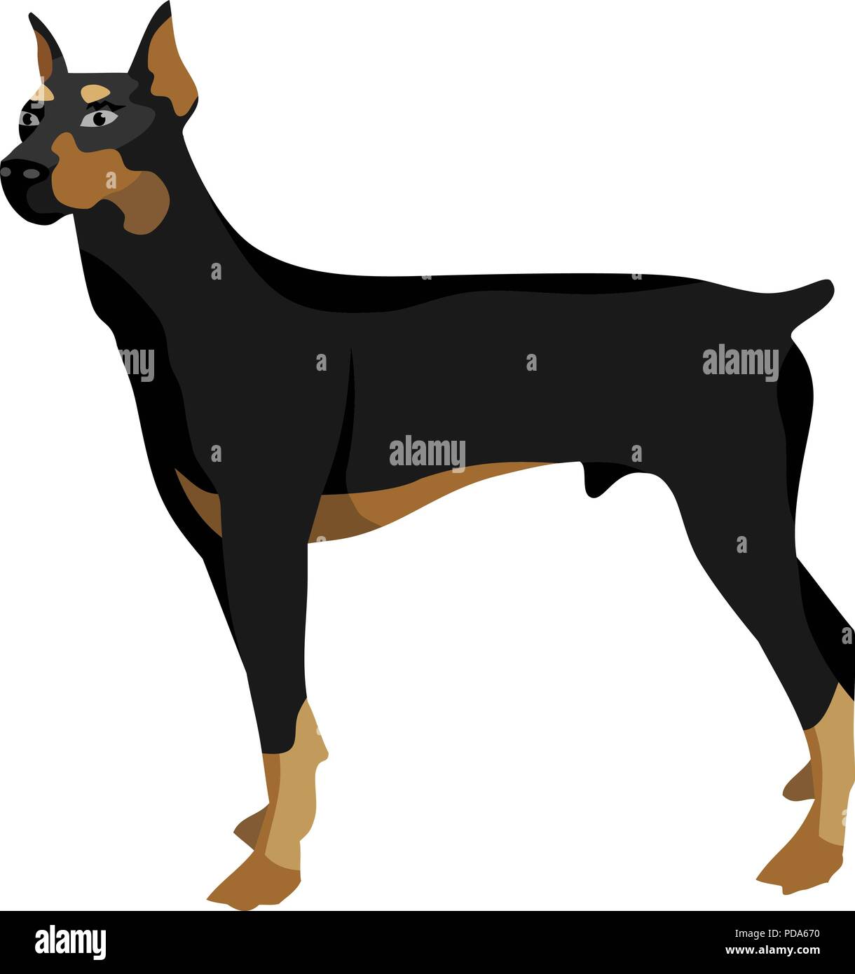 Image vectorielle pour chien noir Banque D'Images