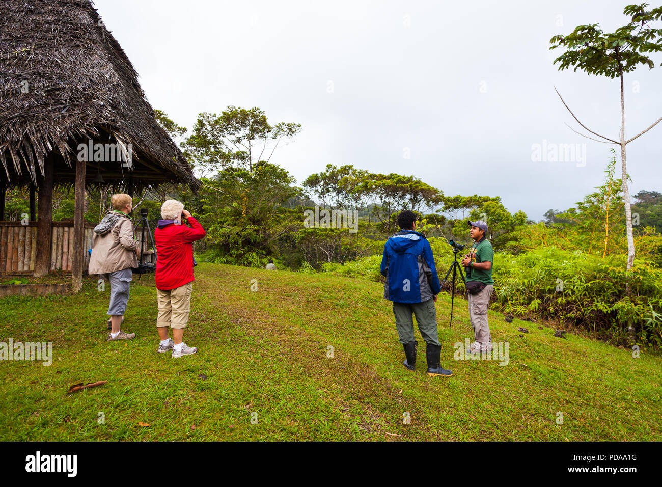 Guide d'observation des oiseaux et les ornithologues amateurs à l'Burbayar lodge, à El Llano, République du Panama. Banque D'Images