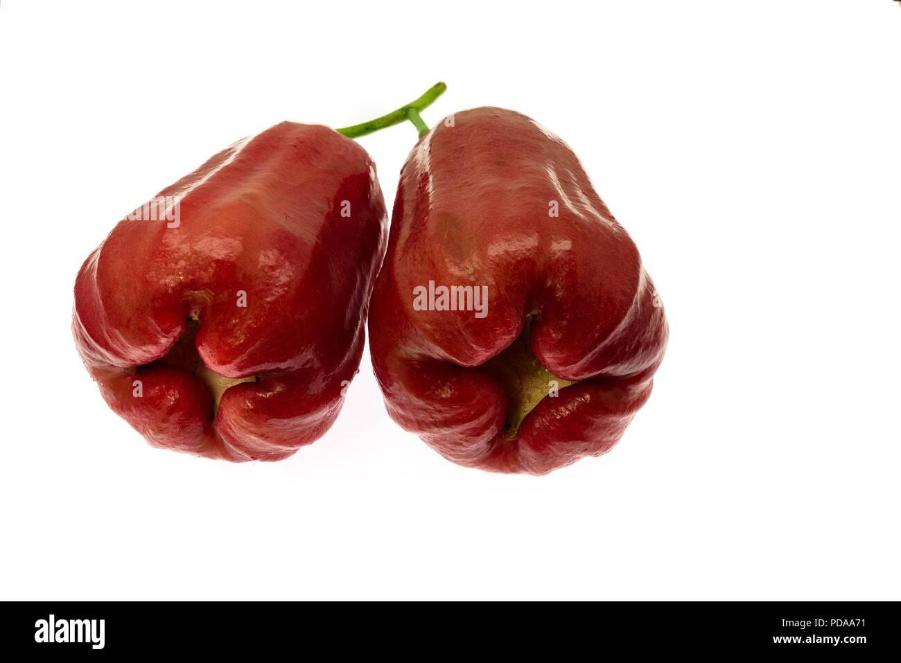 Le fruit frais de cloche ou la pomme de rose est isolé sur le fond blanc. Banque D'Images