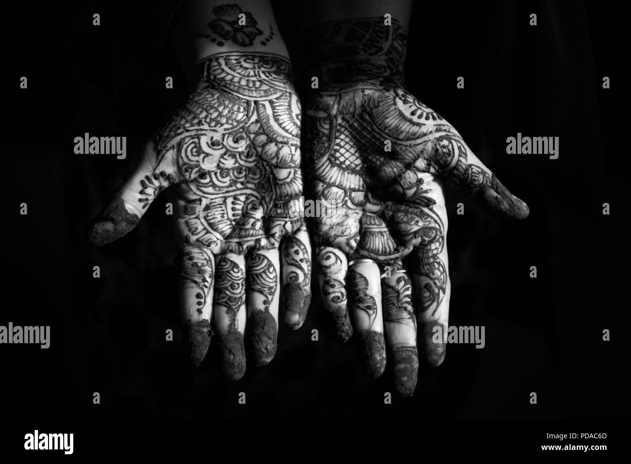 Mehendi indien, art d'encre Banque D'Images