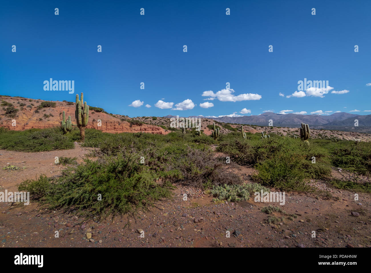 Vue désertique à la Quebrada de Humahuaca - Humahuaca, Jujuy, Argentine Banque D'Images