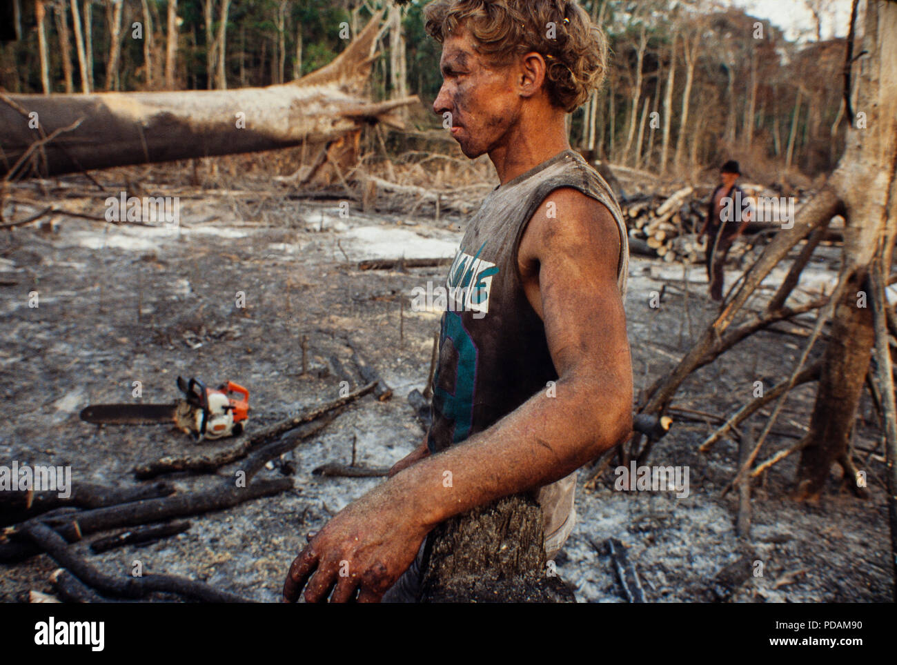 L'exploitation forestière, forêt amazonienne, les travailleurs d'autorisation d'abattre des arbres à l'aide d'une scie à chaîne en chute-et-parcelle de forêt brûlée. L'état d'Acre, au Brésil. Banque D'Images