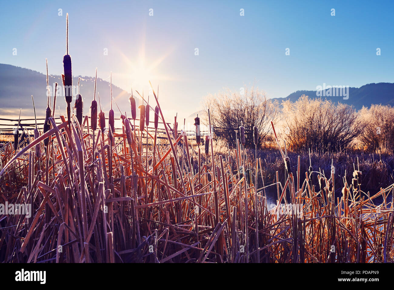 Air Voyage au Parc National de Grand Teton, harmonisation des couleurs appliquées, Wyoming, USA. Banque D'Images