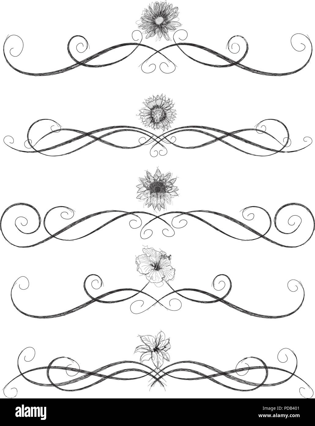 Croquis de fleurs assorties avec les règles de la page Illustration de Vecteur