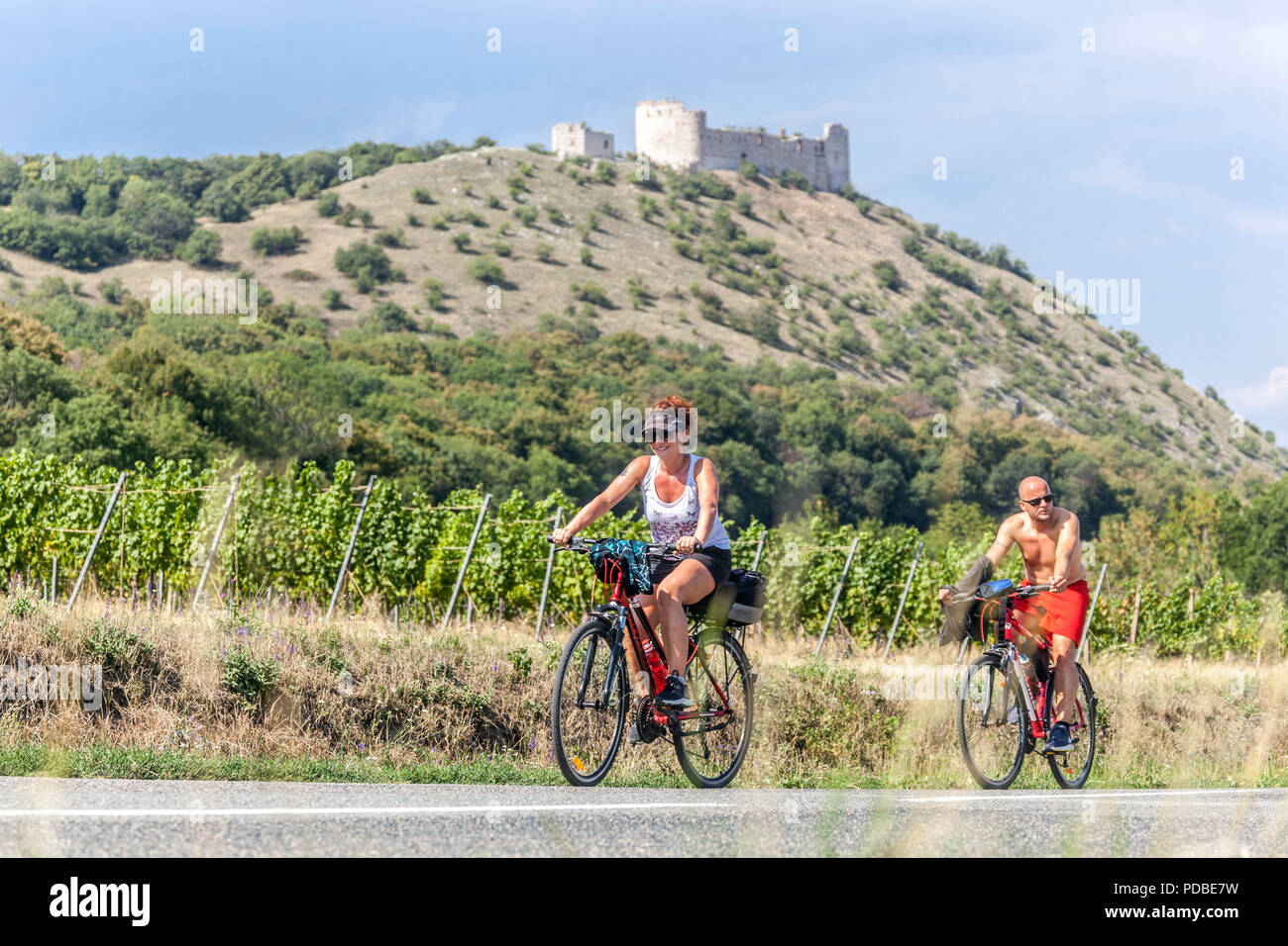 Motards, région de Palava, pistes cyclables à travers les vignobles Moravia route des vins à vélo République tchèque Europe route des vignobles Banque D'Images