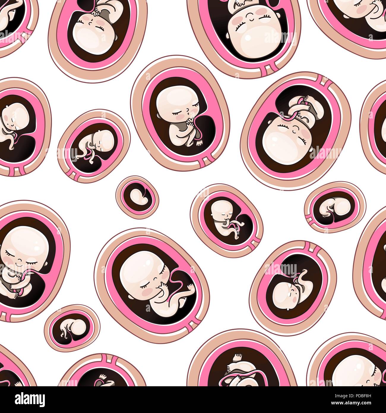 Bebe Sans Motif Bebes Et Nouveau Nes Foetus Humain A L Interieur De L Uterus 1 A 9 Mois Illustrations Vectorielles Image Vectorielle Stock Alamy
