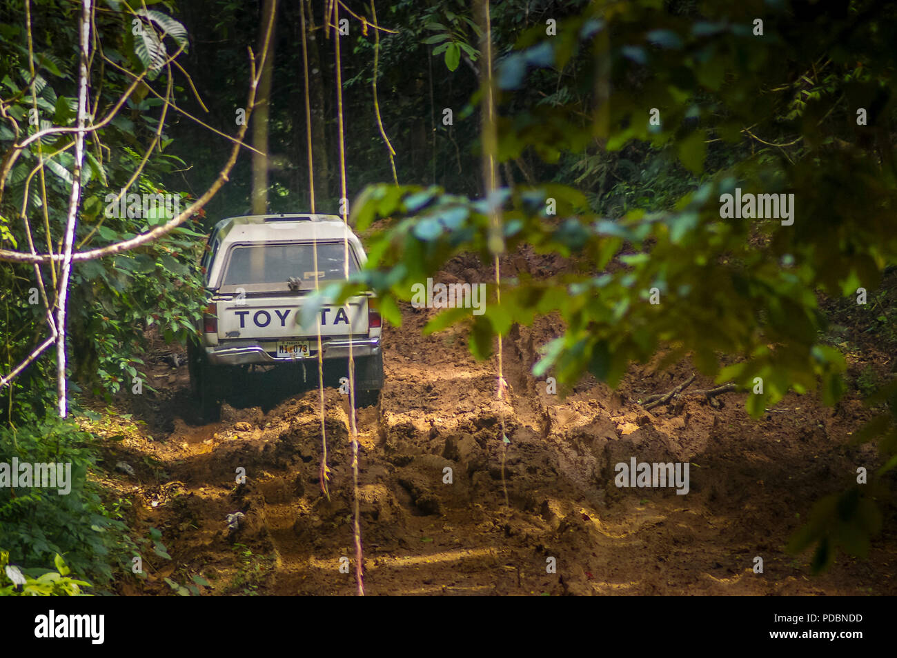 Pick up truck voiture coincé dans la boue le long du Pipeline Road Parc National de Soberania Panama Banque D'Images