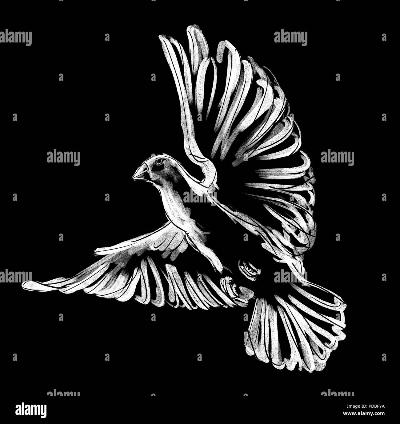 La craie, aquarelle numérique illustration de pigeon dans les tons de blanc, gris, noir. Symbole de l'Esprit Saint, isolé sur fond noir. Banque D'Images