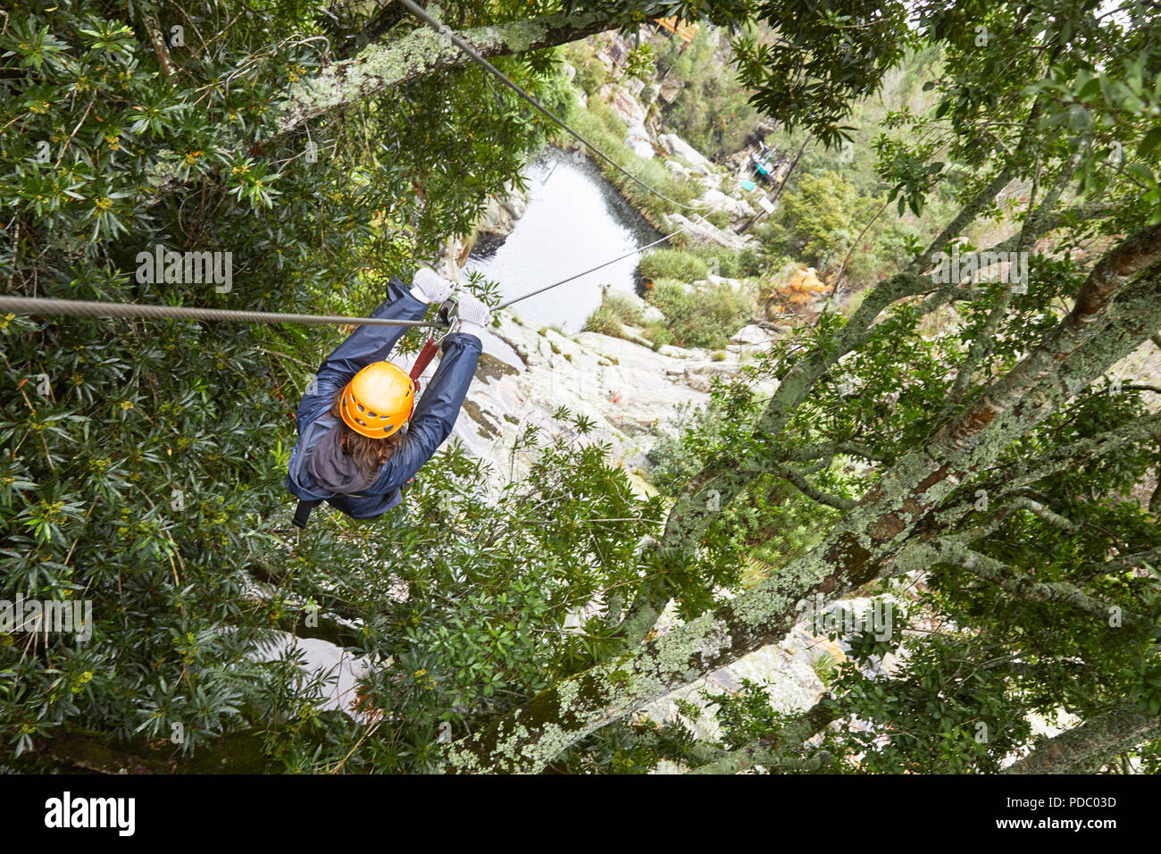 Femme la tyrolienne entre les arbres dans les bois Banque D'Images