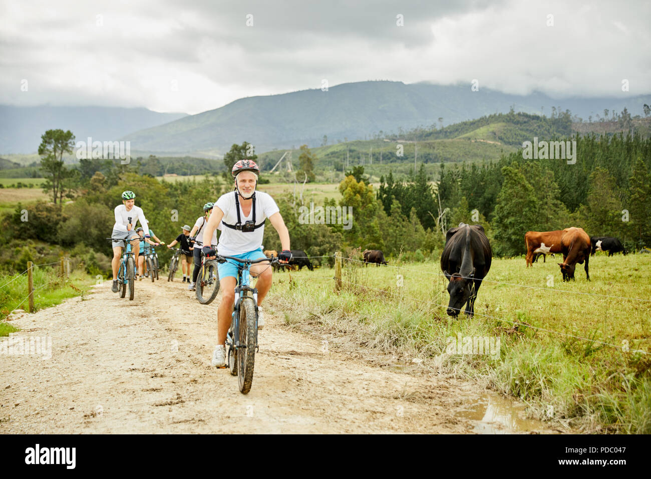 Man mountain biking avec des amis sur le long chemin de terre rurale cow pasture Banque D'Images