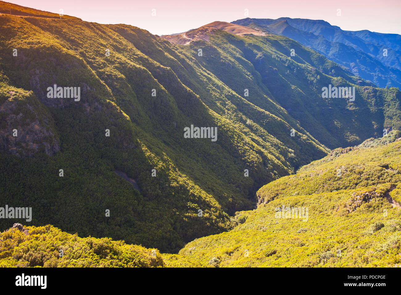 Paysage de montagne de l'île de Madère en été, Portugal Banque D'Images