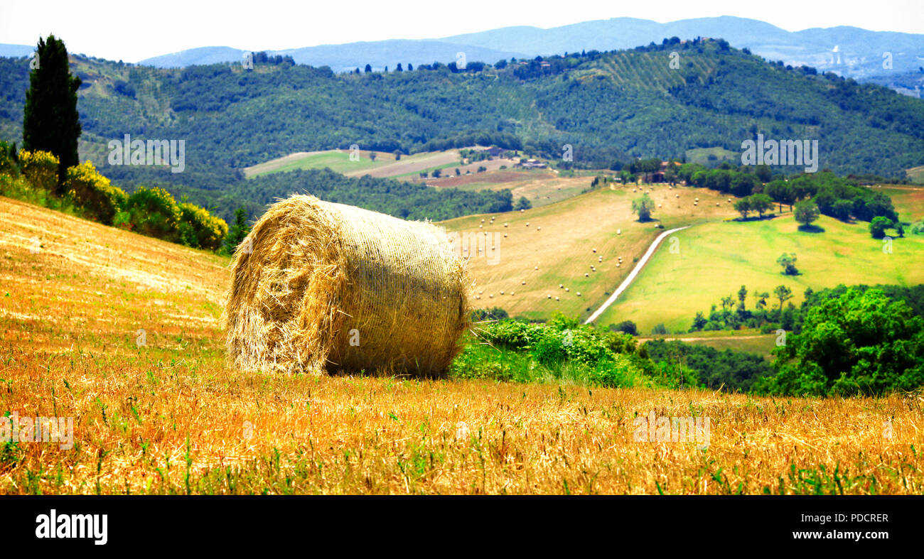 Impressionnant paysage de Toscane,voir avec rouleaux et les champs,Val d'Orcia, Pienza, Italie. Banque D'Images