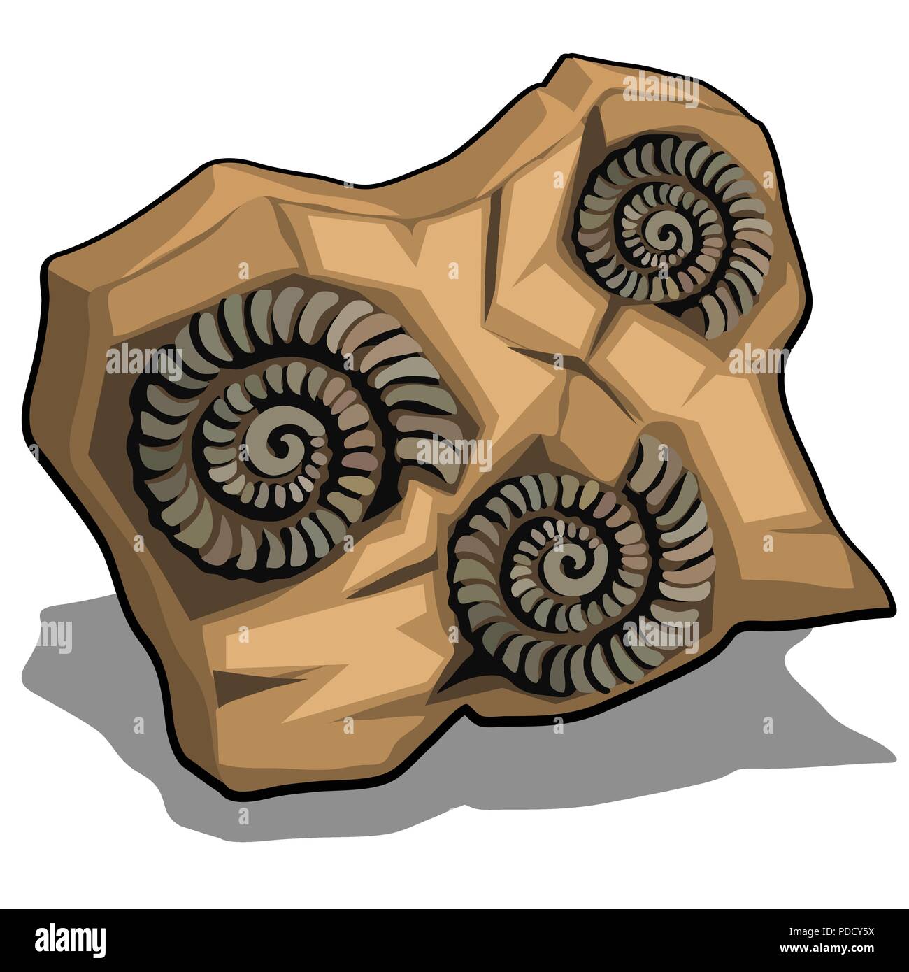 Ensemble d'ammonites fossilisées de shell isolé sur un fond blanc. Cartoon Vector illustration close-up. Illustration de Vecteur