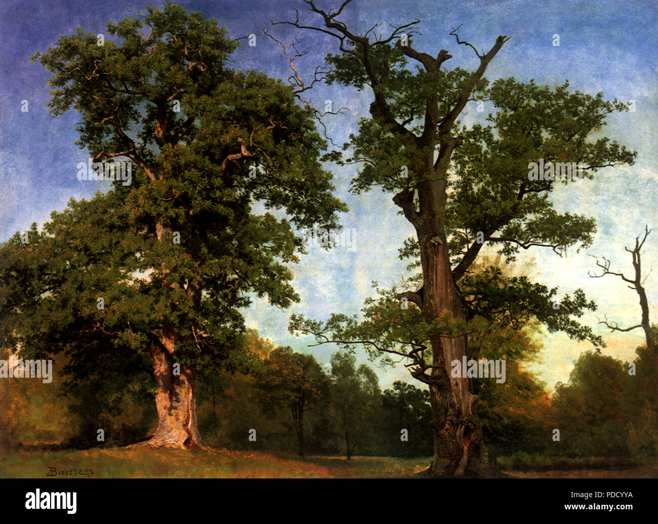 Pionniers de la forêt, Bierstadt, Albert, 1850. Banque D'Images