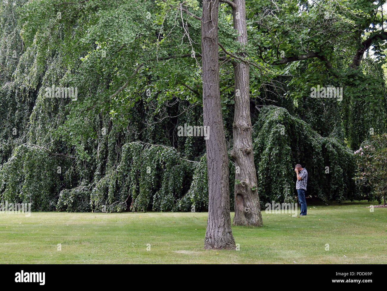 Newport, Rhode Island - Le 26 juillet 2018 : un homme en petit parc de la ville de Newport, Rhode Island Banque D'Images