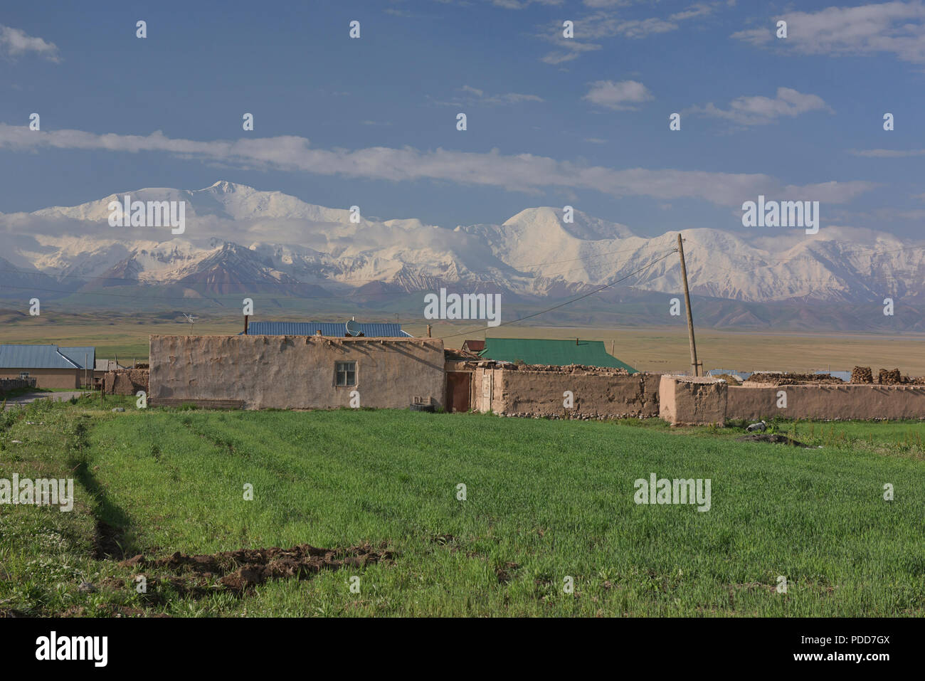 7 134 mètres de haut et le pic Lénine au Pamir Sary Mogul, Kirghizistan Banque D'Images