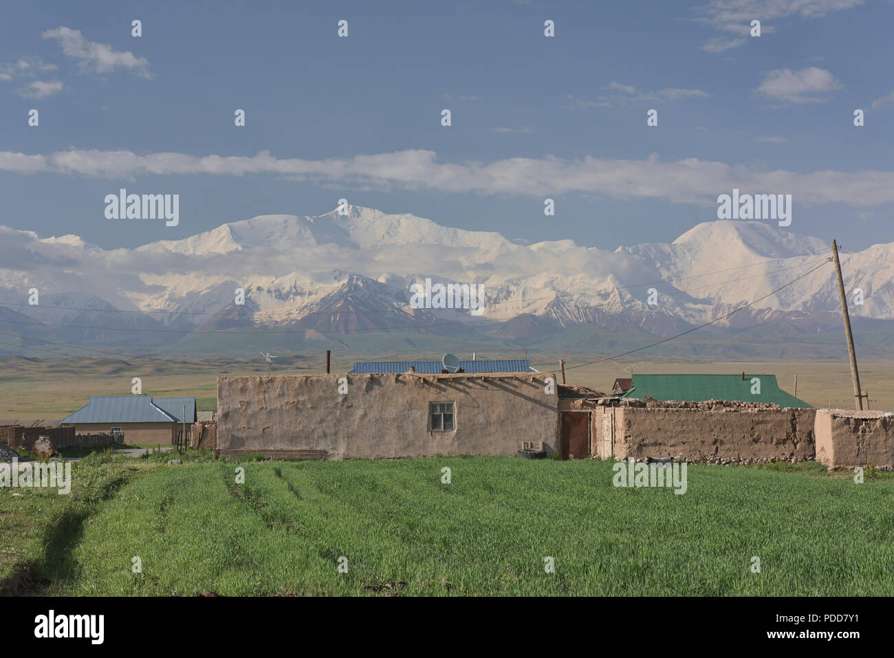 7 134 mètres de haut et le pic Lénine au Pamir Sary Mogul, Kirghizistan Banque D'Images