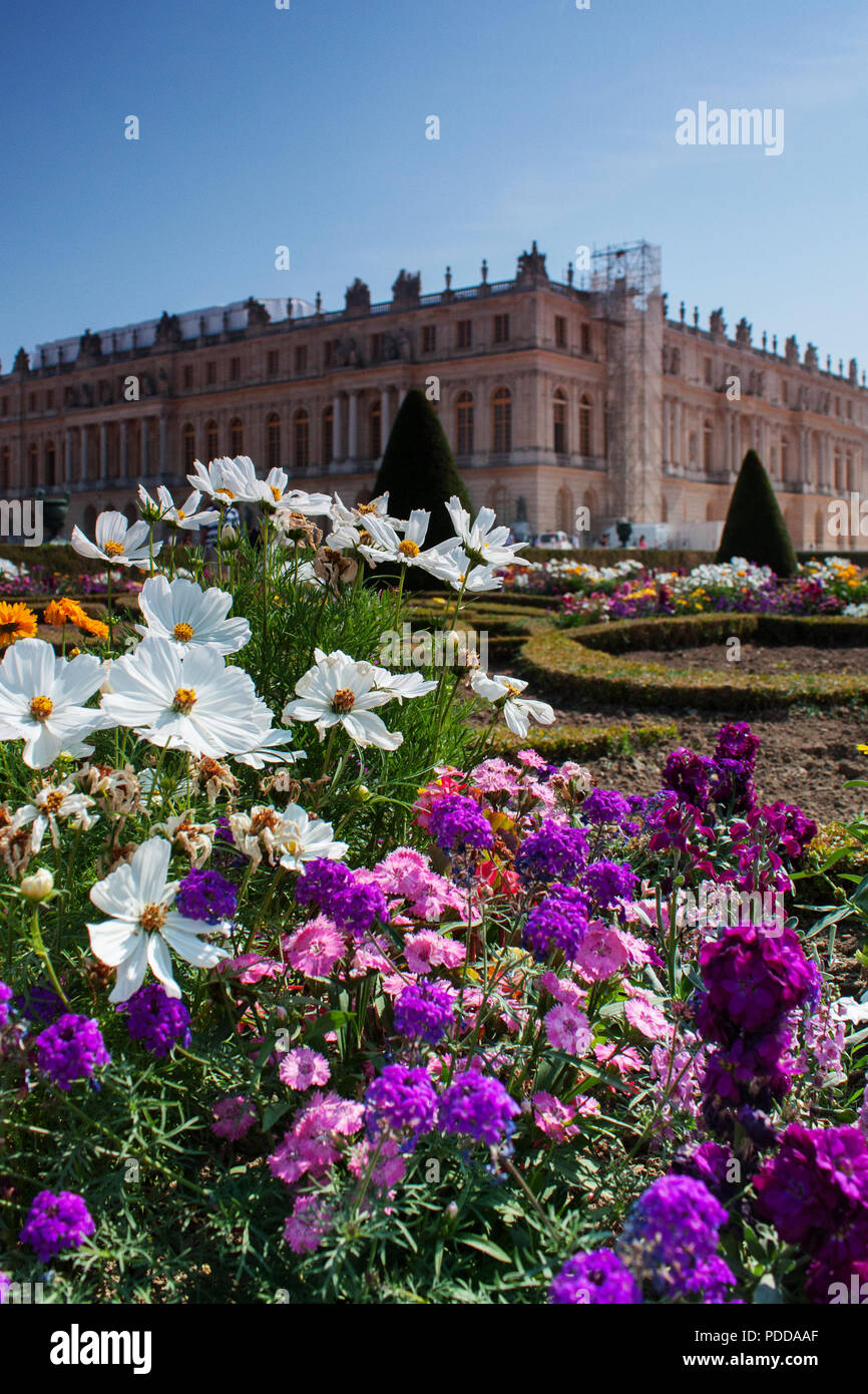 Des fleurs colorées dans le jardin de château de Versailles, l'été, gros plan vertical Banque D'Images