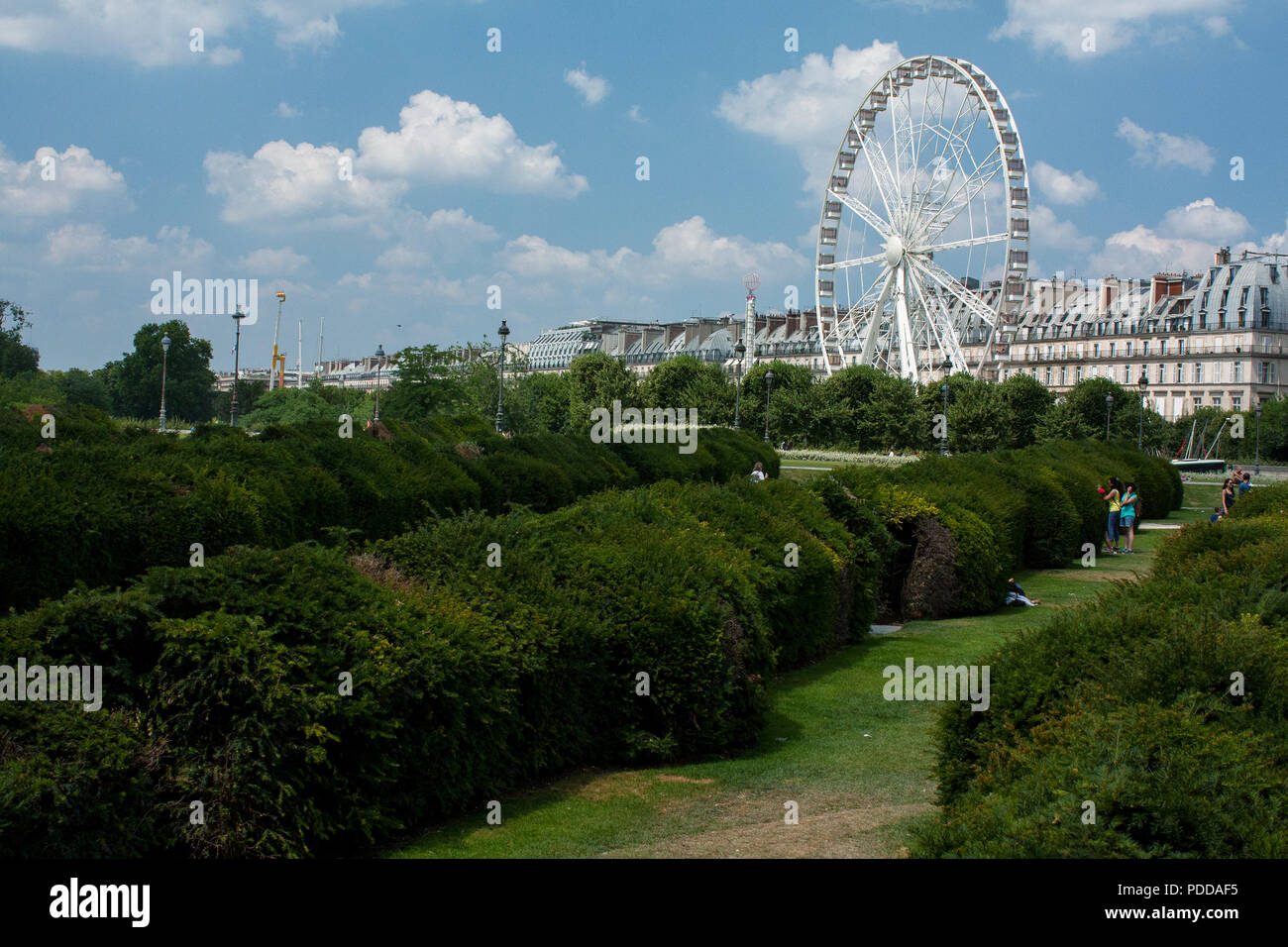 Grande Roue du Louvre avec le jardin vert à Paris, l'été Banque D'Images