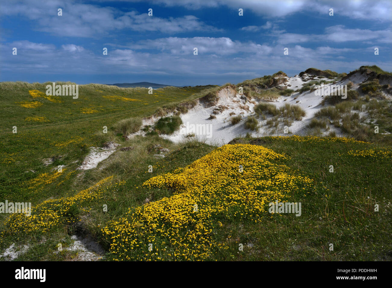 Dune de sable contre ciel noir;clachan sands "machair";;North Uist;Ecosse Banque D'Images