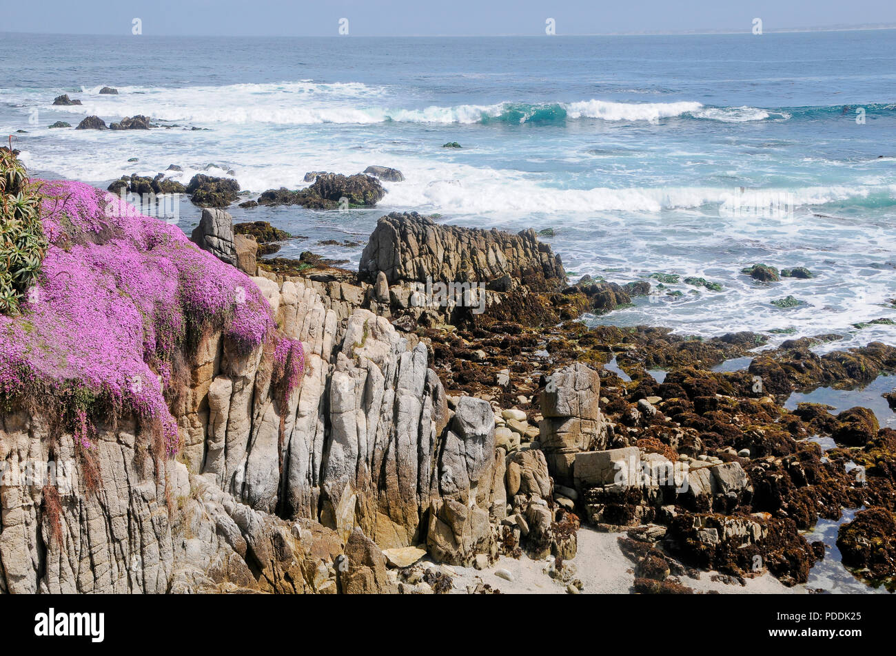 Le littoral de la baie de Monterey, Californie Banque D'Images