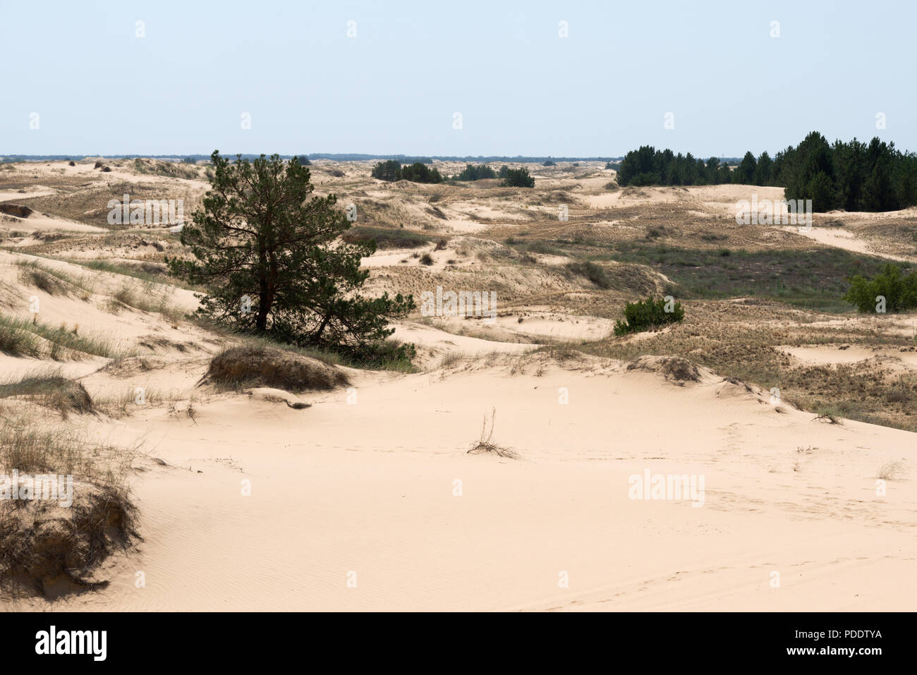 Oleshky Sands, Ukraine Banque D'Images