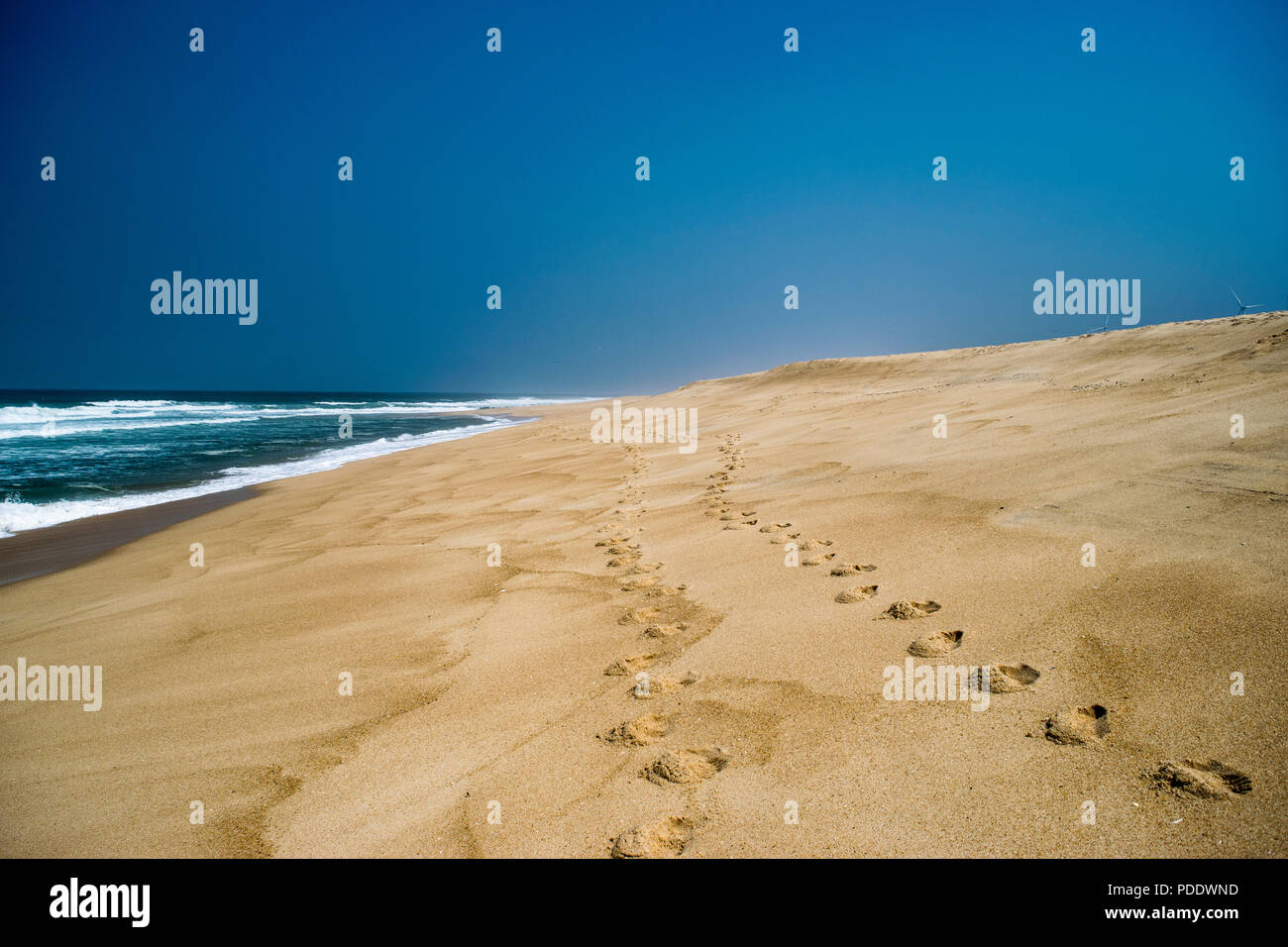 Deux séries d'empreintes de pas dans le sable , sur une plage de sable fin disparaissant dans la distance avec les vagues sous un ciel bleu Banque D'Images