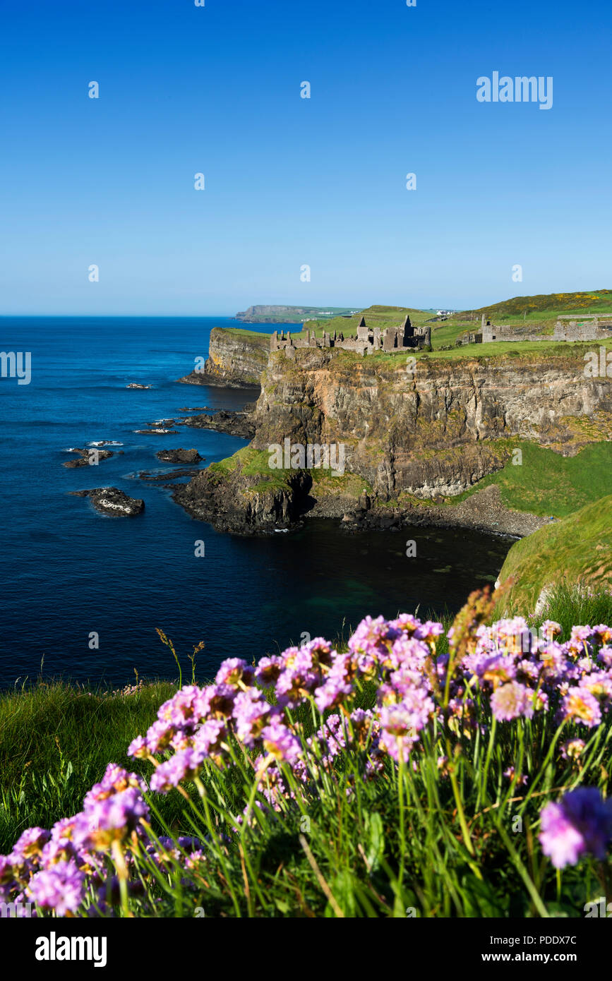 Ruines du château de Dunluce sur la côte irlandaise Banque D'Images