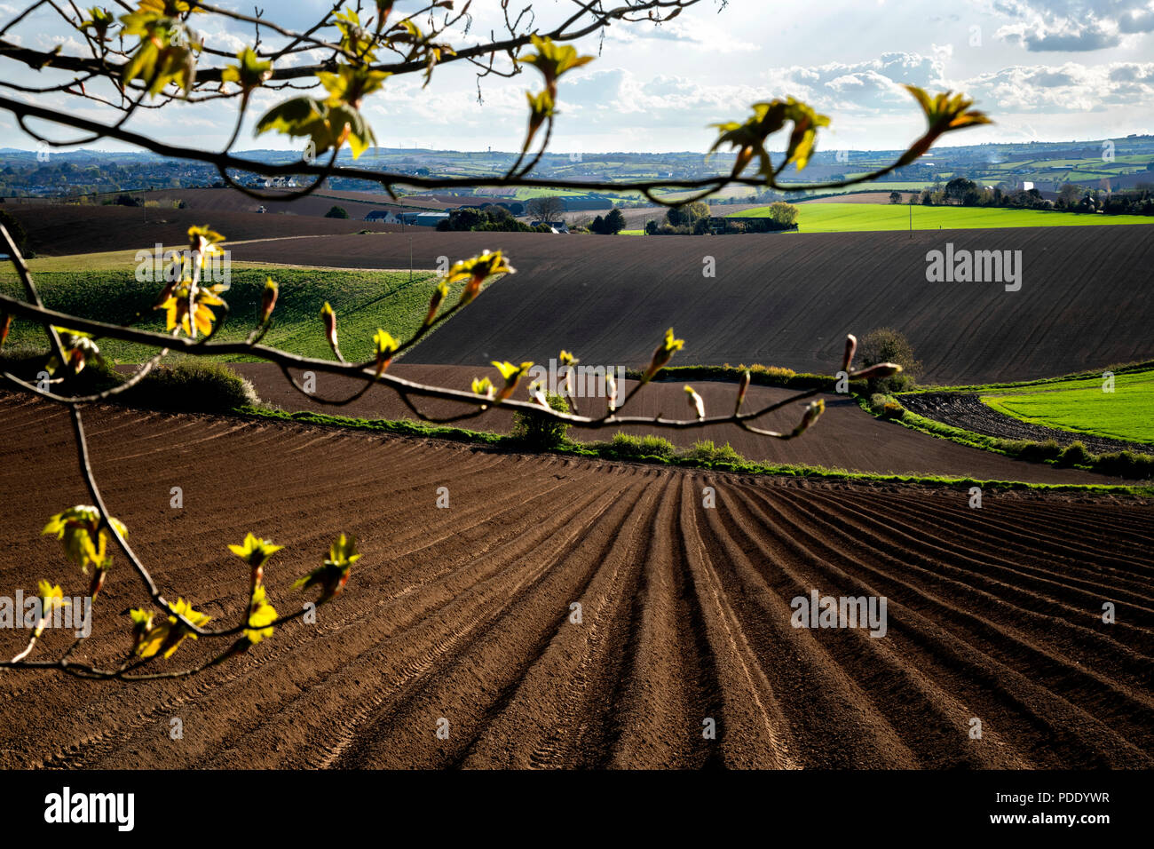 Champs Labourés au début du printemps Banque D'Images