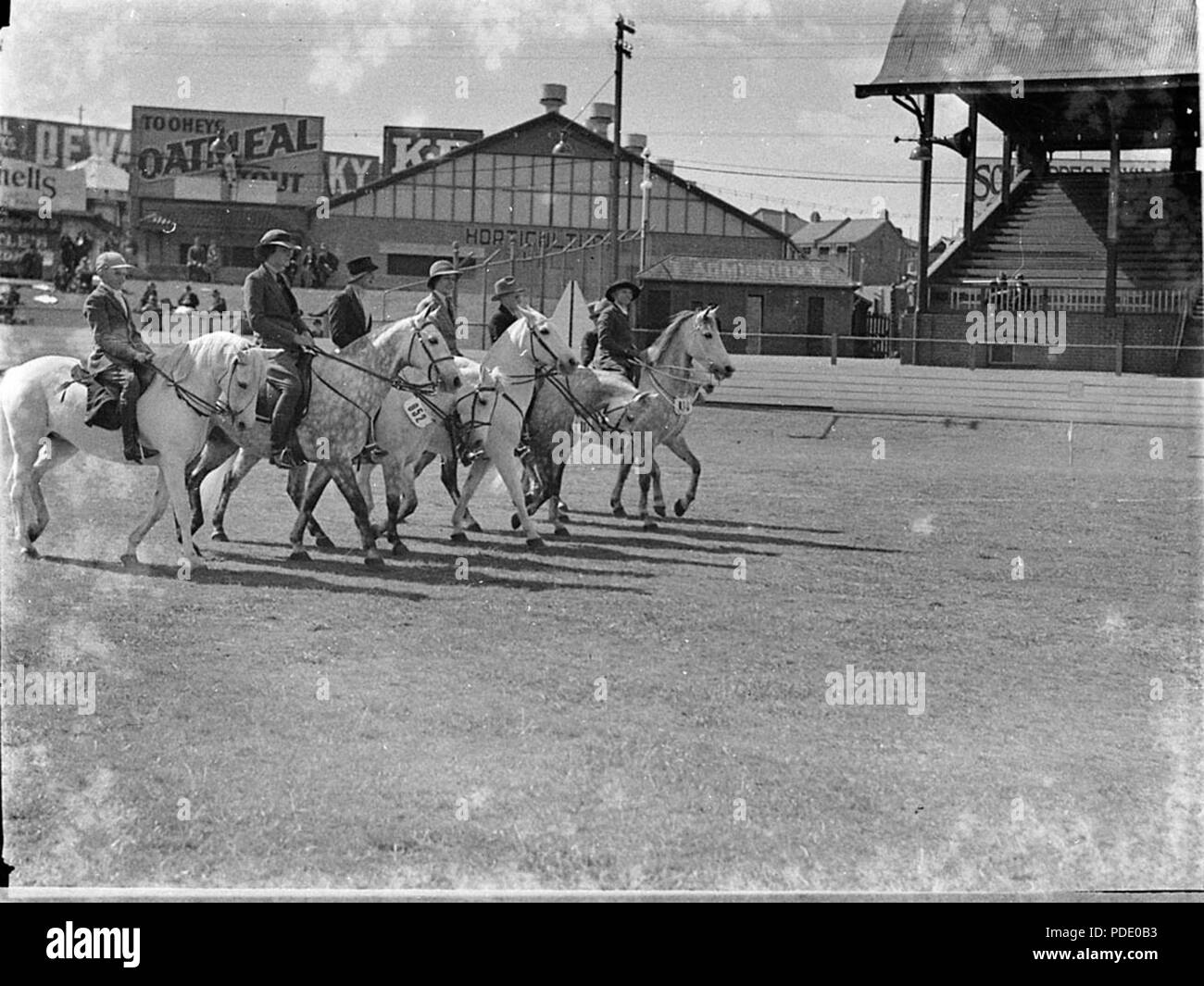 34994 SLNSW 156 chevaux au Salon Banque D'Images