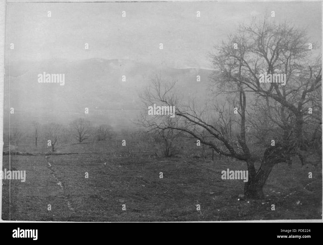 Dihovsko 112 Pole WWI Banque D'Images