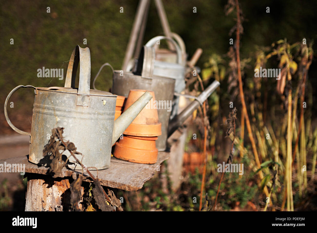 Vintage arrosoirs Banque D'Images