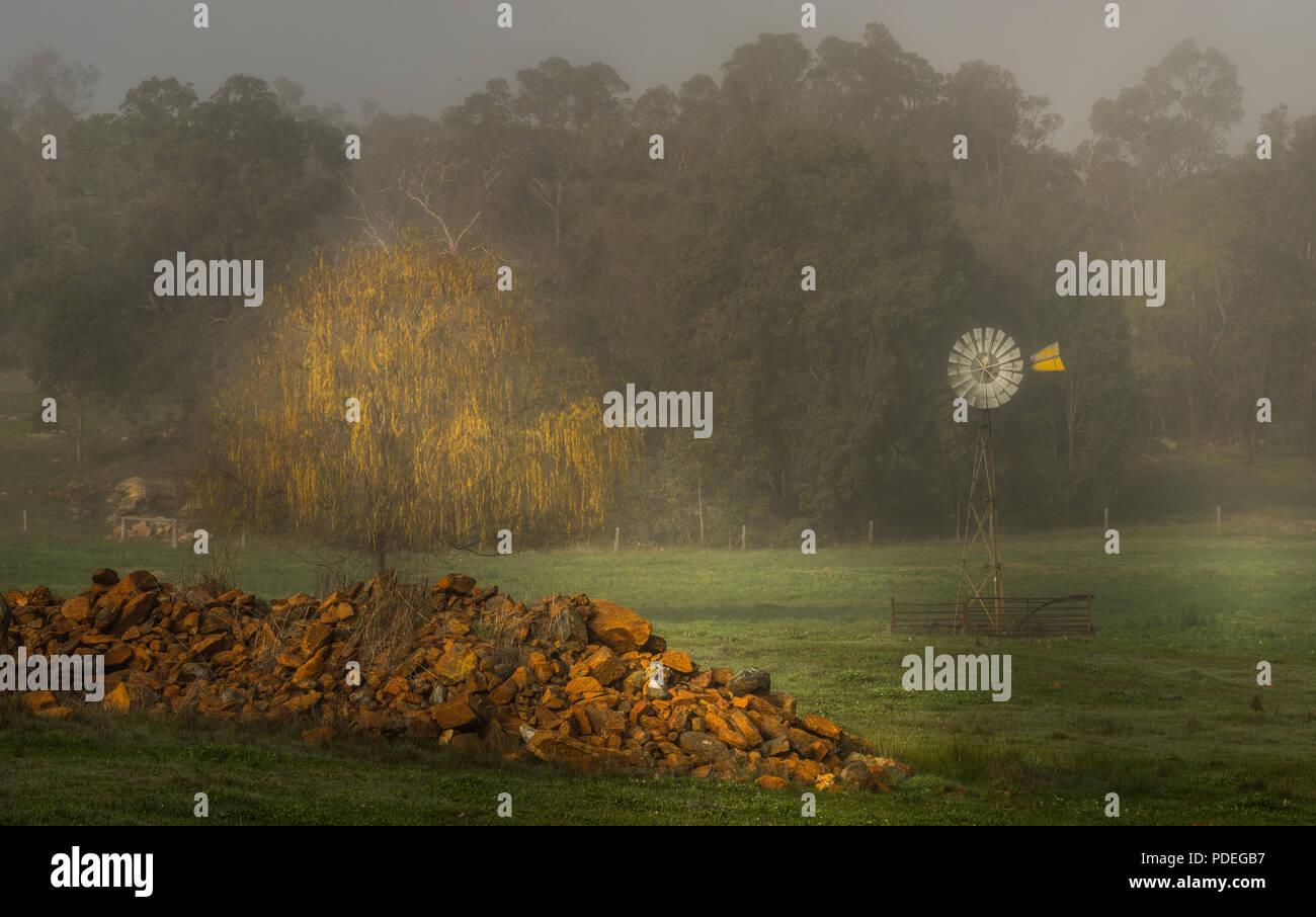 Moulin, Misty morning, Gidgegannup, Australie occidentale Banque D'Images