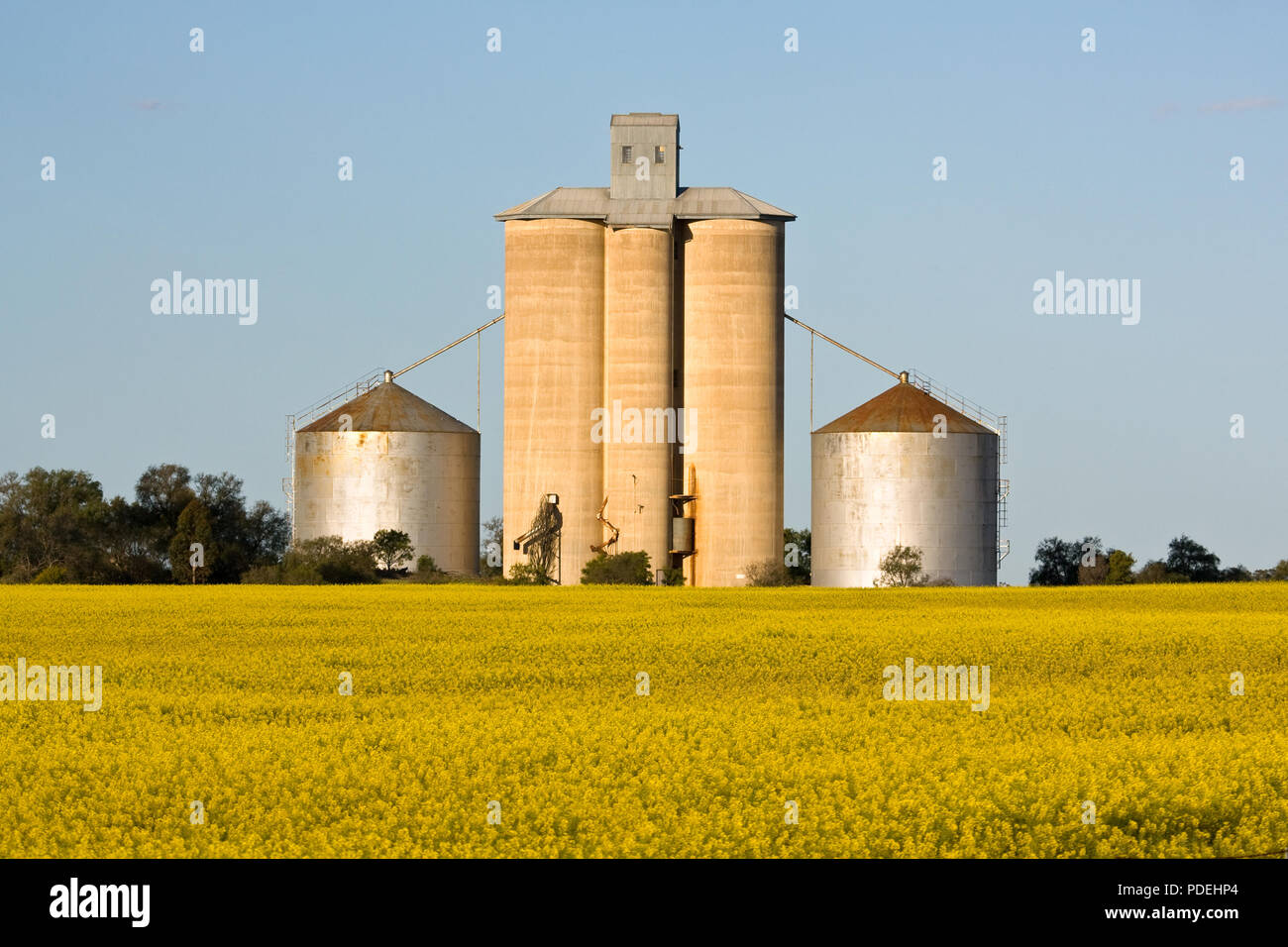 Silo élévateur à grain, région de Wimmera Victoria Australie. Banque D'Images