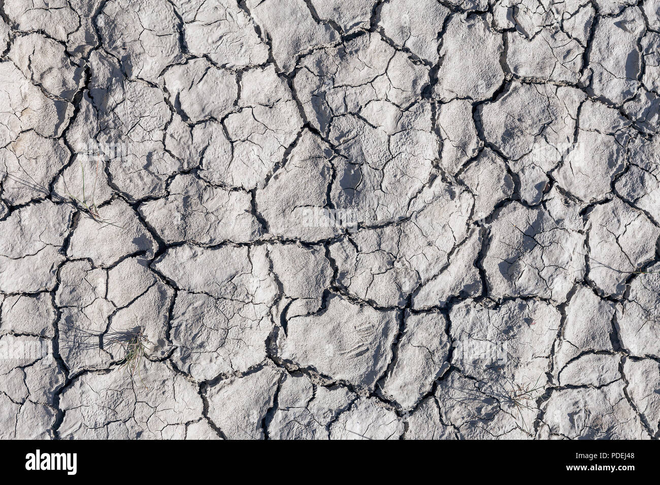 Un close-up de fissures profondes sur le terrain, en raison d'une sécheresse. Le concept de changements écologiques dans la nature Banque D'Images