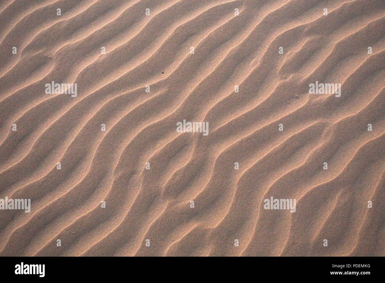 Les patrons de sable sur une plage, Parc National de Yuraygir, NSW, Australie Banque D'Images