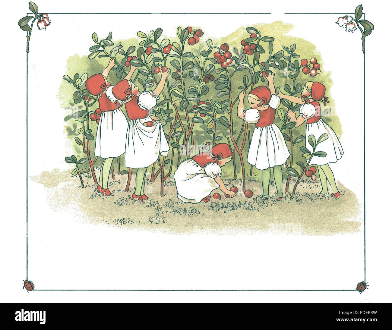 264 PL Maria Konopnicka - Na jagody page029 Banque D'Images