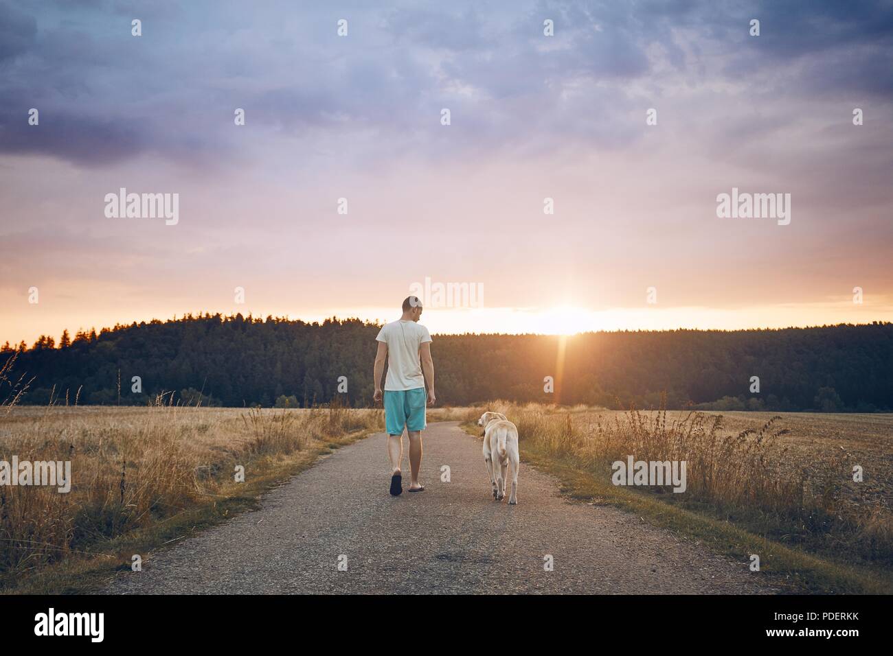 Vue arrière du jeune homme qui marche avec son chien (labrador retriever) sur le chemin rural au coucher du soleil. Banque D'Images