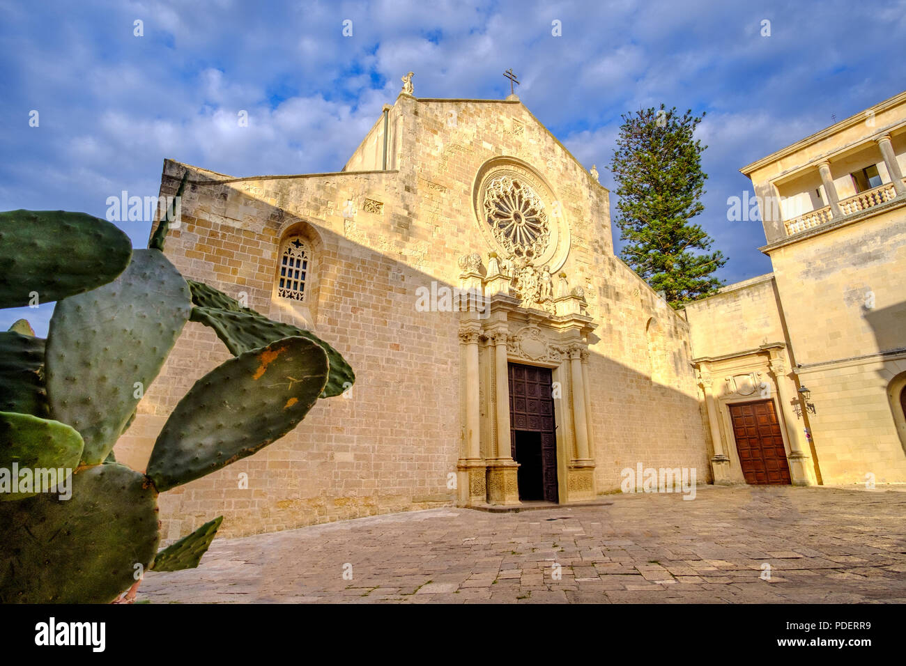 Cathédrale d'Otrante - Indian fig Pouilles - Salento - Italie Banque D'Images