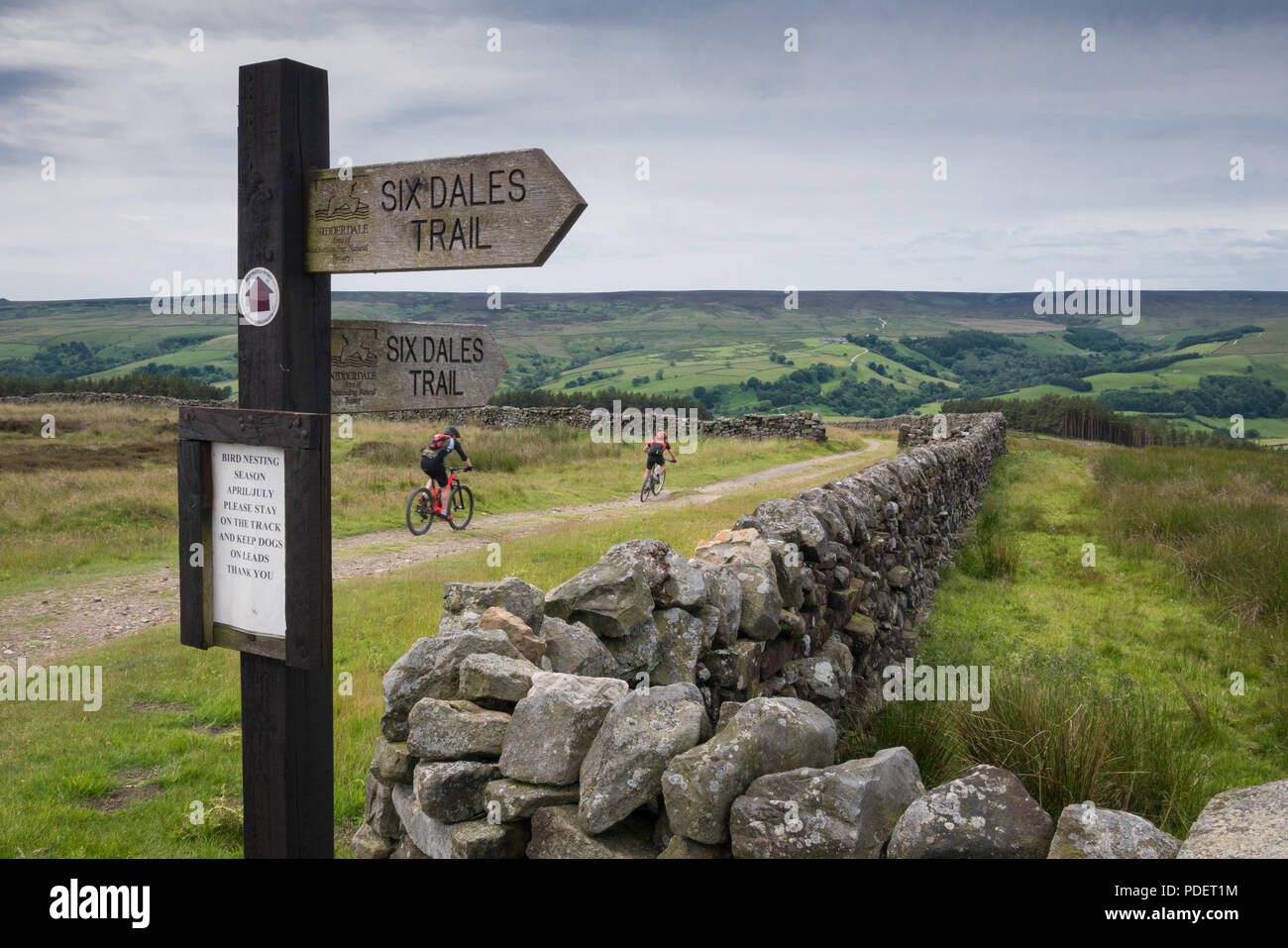 Les amateurs de VTT descente de la piste de Nidderdale Six Dales, Yorkshire du Nord. Banque D'Images