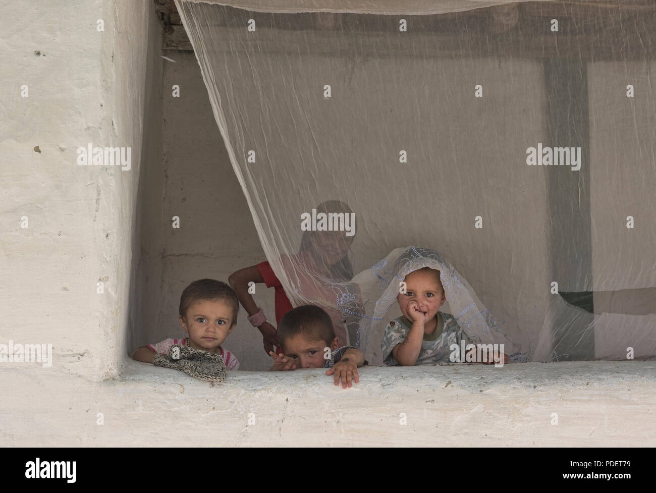 Les enfants dans la vallée de Wakhan, Langar, Tadjikistan Banque D'Images