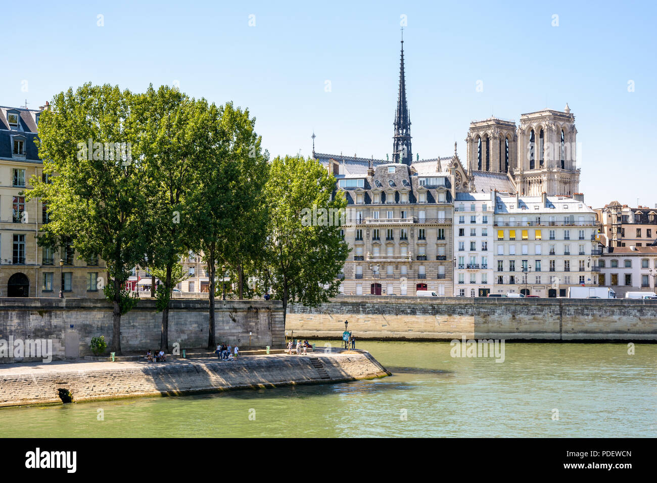 Vue de l'Ile de la cité, sur la Seine à Paris, en France, avec la cathédrale Notre-Dame de Paris dépassant les bâtiments par une journée ensoleillée. Banque D'Images