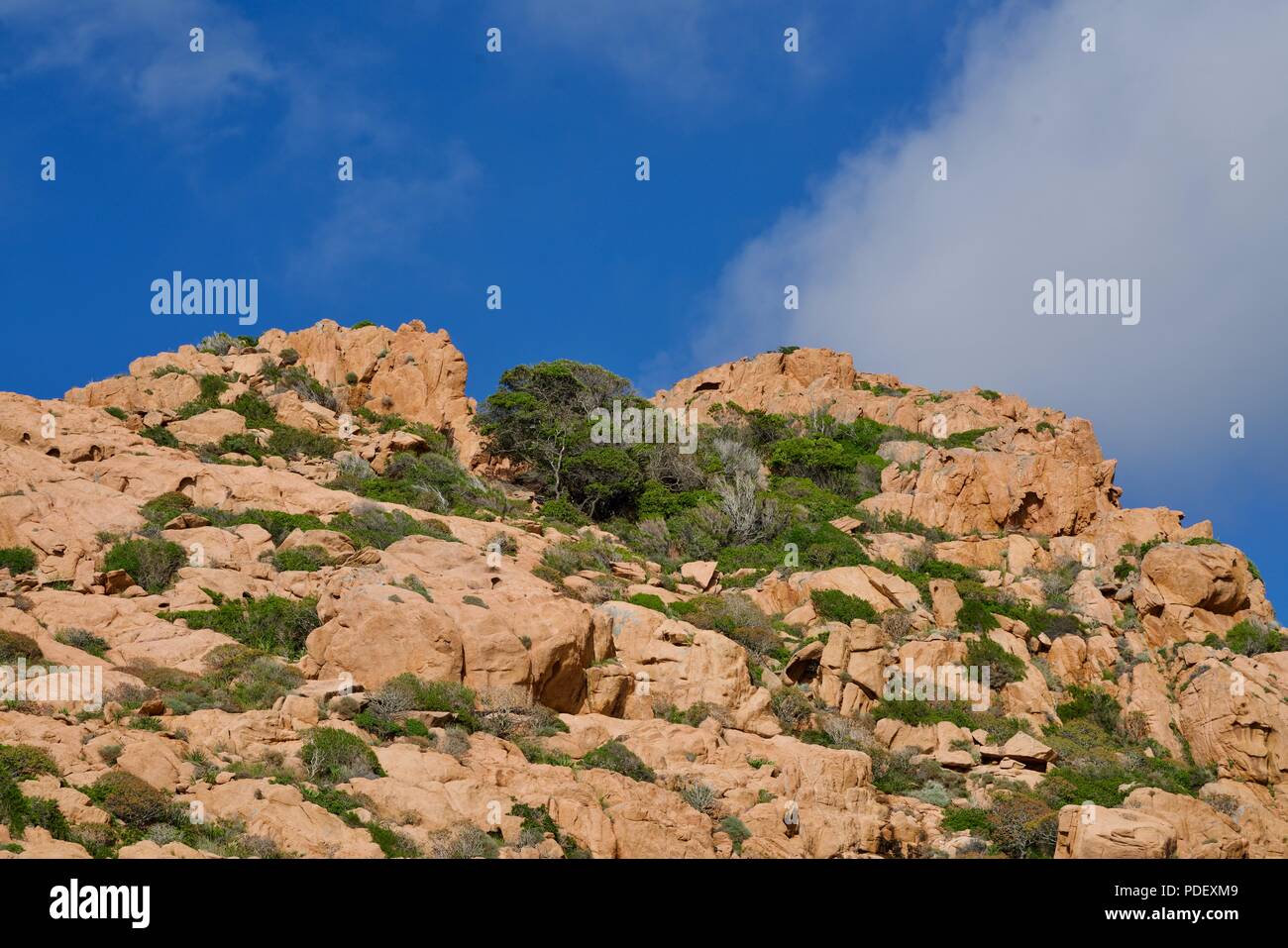 Arrière-plan d'une roche rouge d'arbres sous le ciel bleu avec quelques nuages Banque D'Images